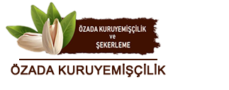 Bulgan Boya Logo